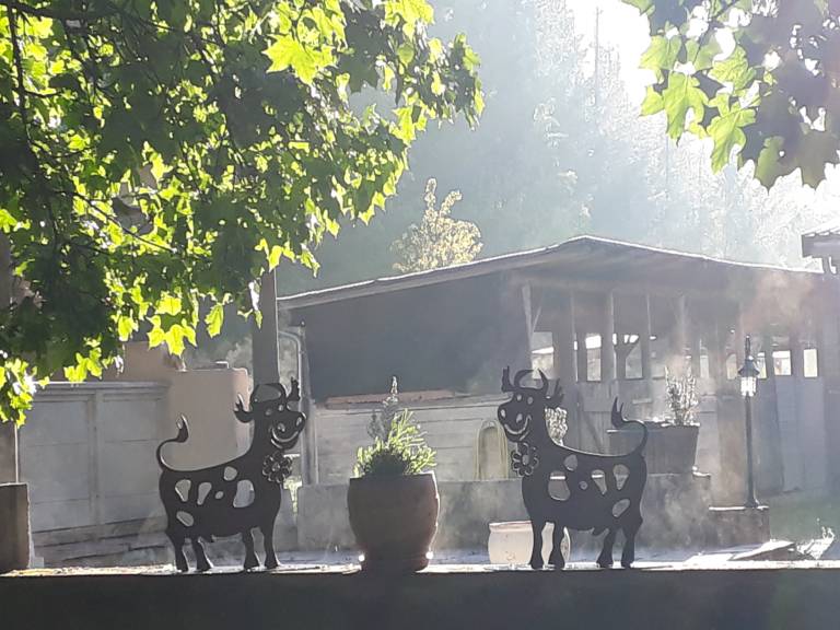 foto16