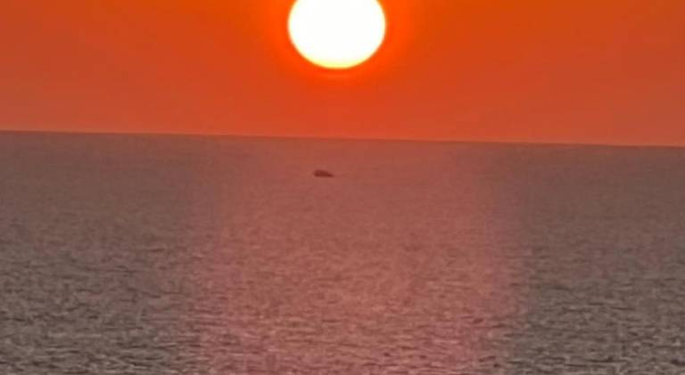 foto41
