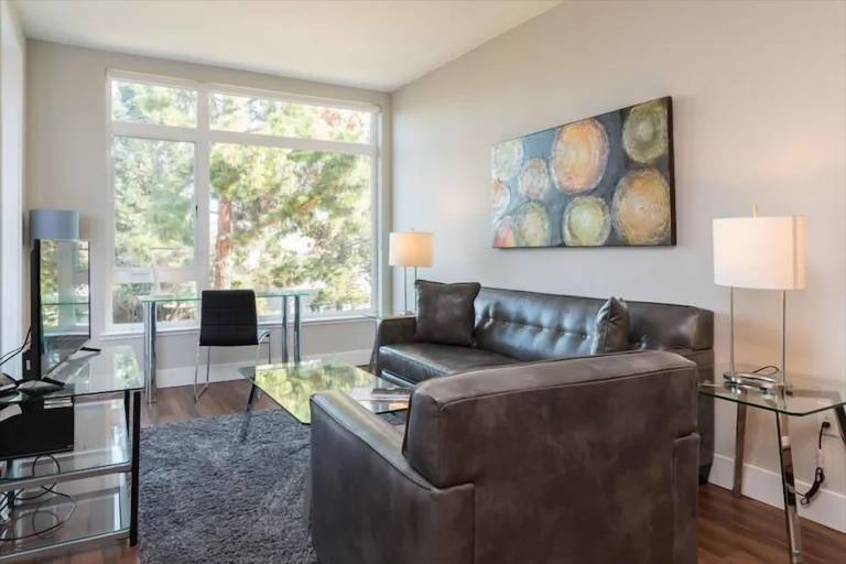 Apartment  Mountain View