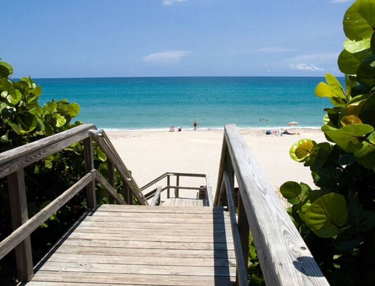 Condo Palm Beach