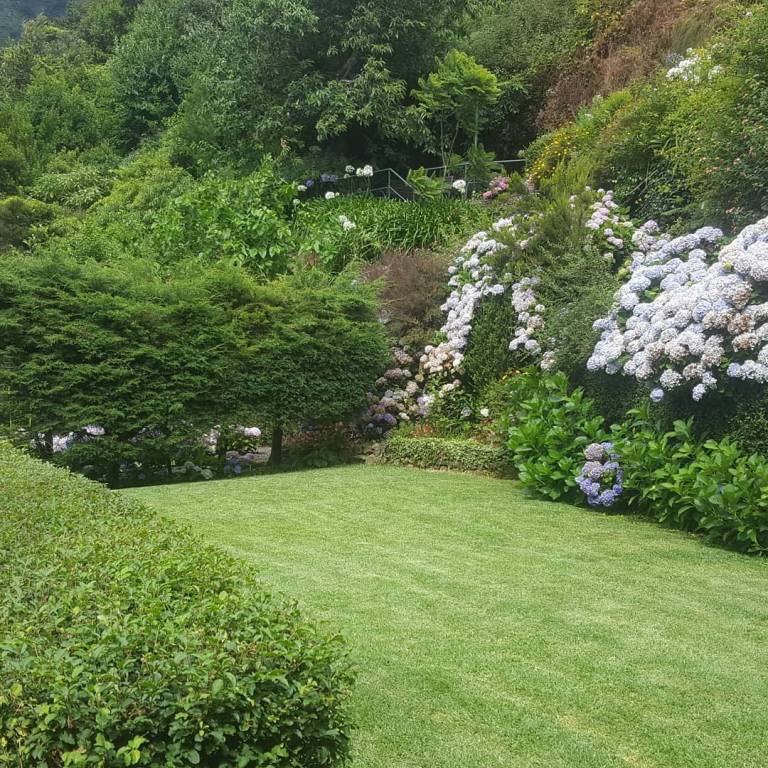 foto47