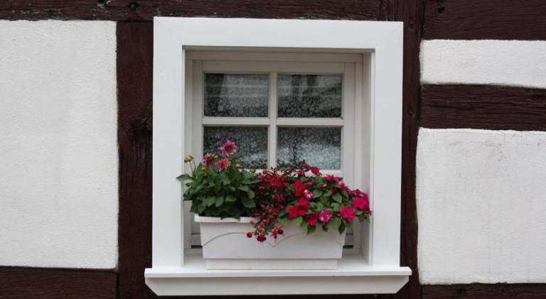 foto23