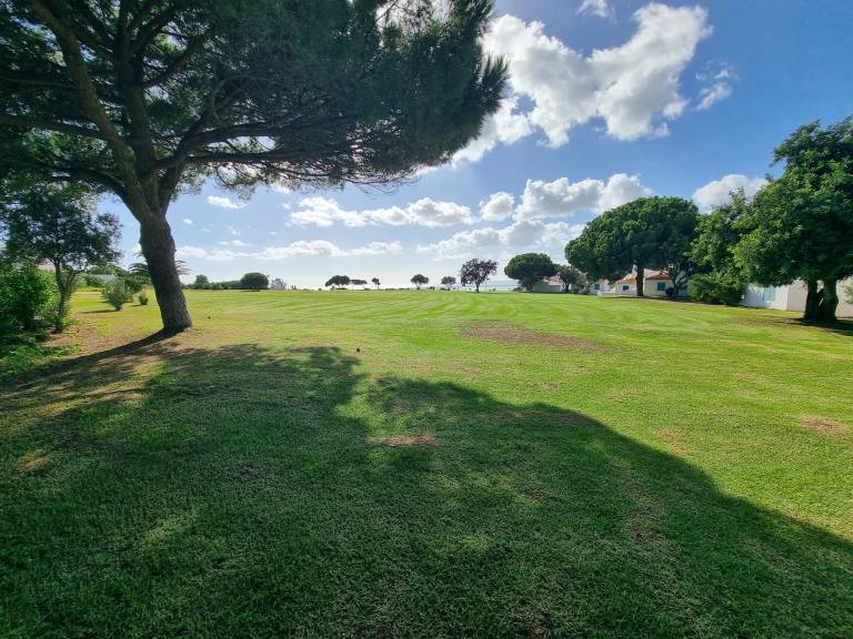 foto40