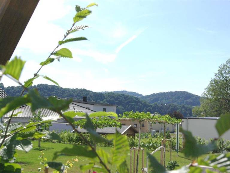 Ferienwohnung  Saarburg