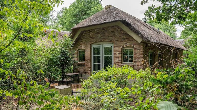 Schönes Ferienhaus mit Garten, Terrasse und Sauna | Haustiere erlaubt