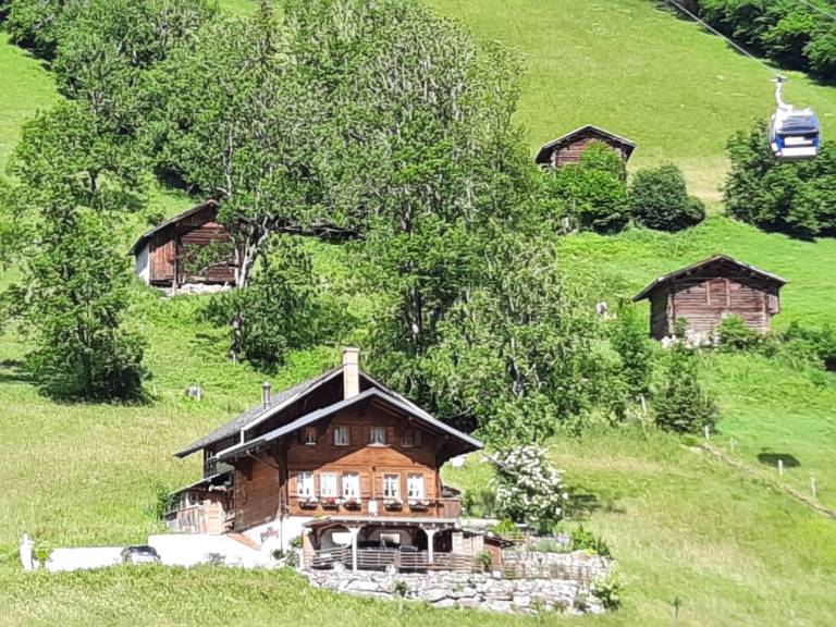 Ferienwohnung Lenk