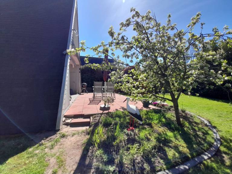 foto40