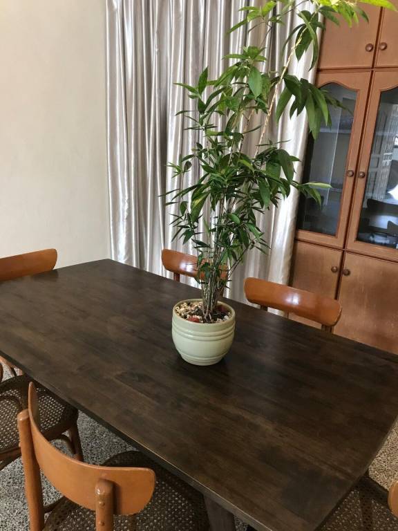 foto19