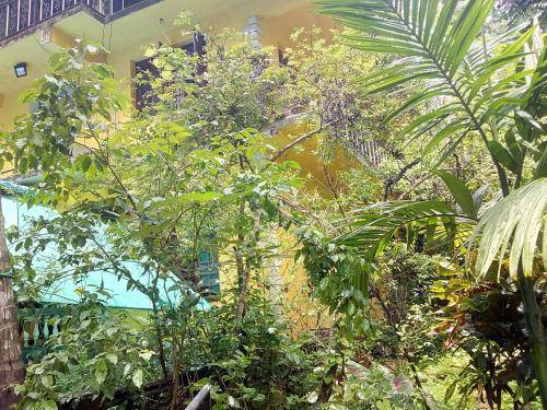 House  Colva Beach