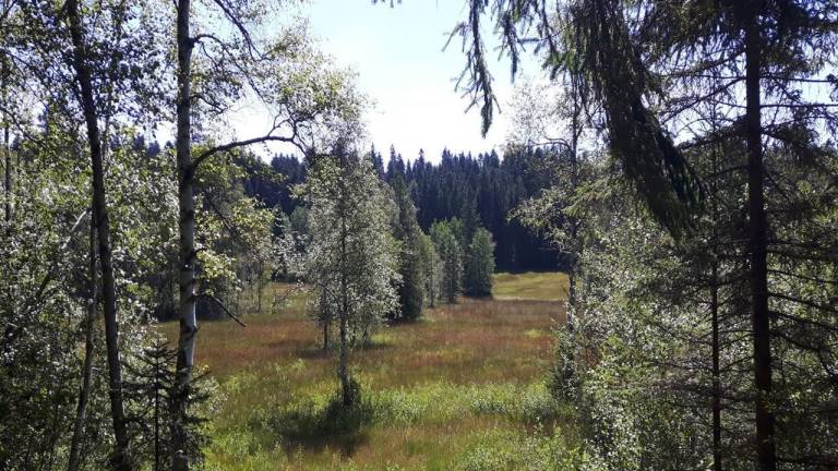 foto15
