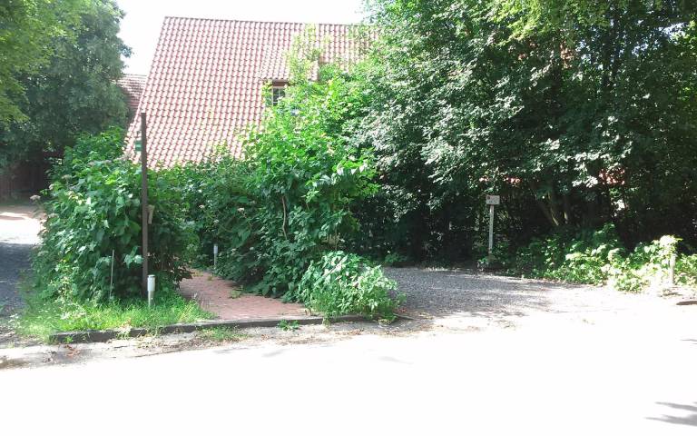 foto11