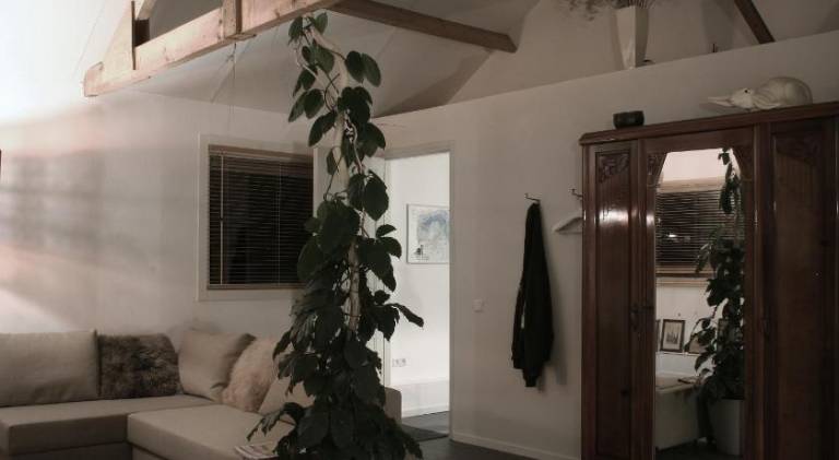 foto42