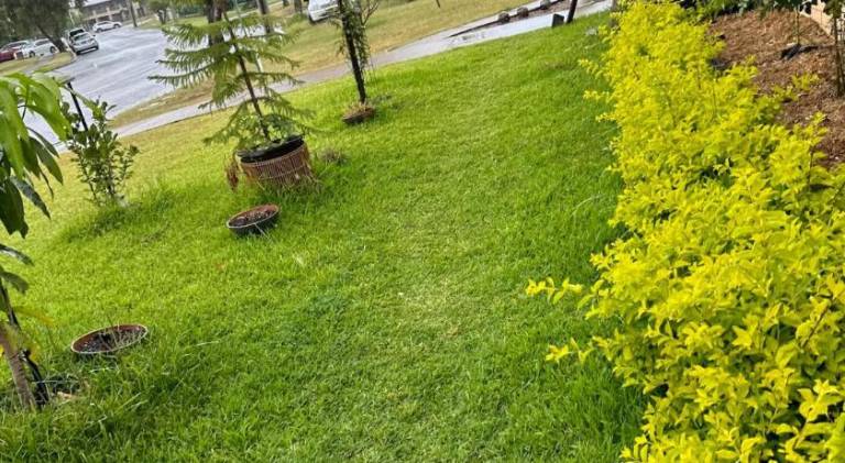 foto9