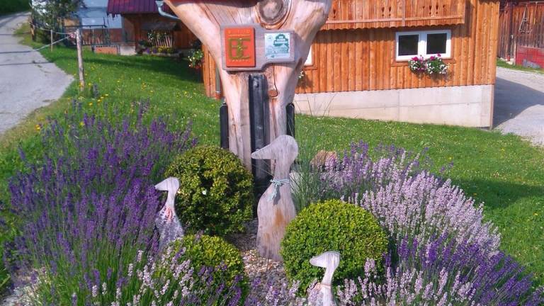 foto6