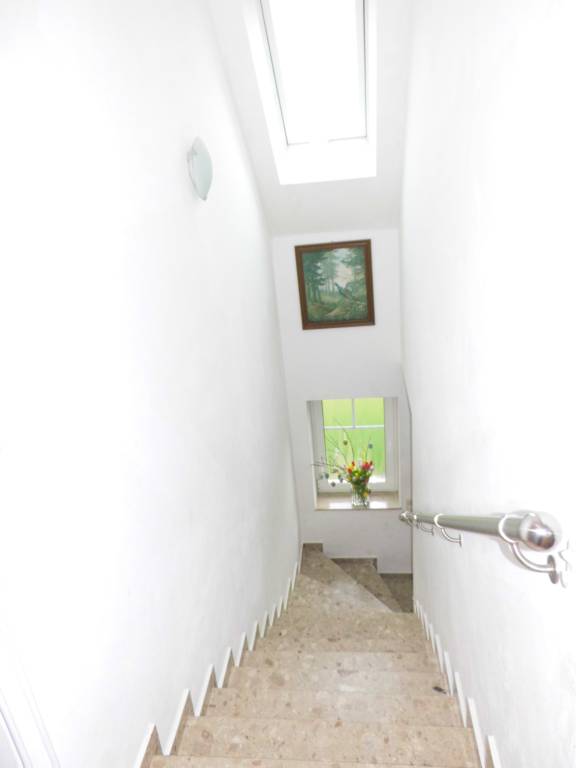 foto19