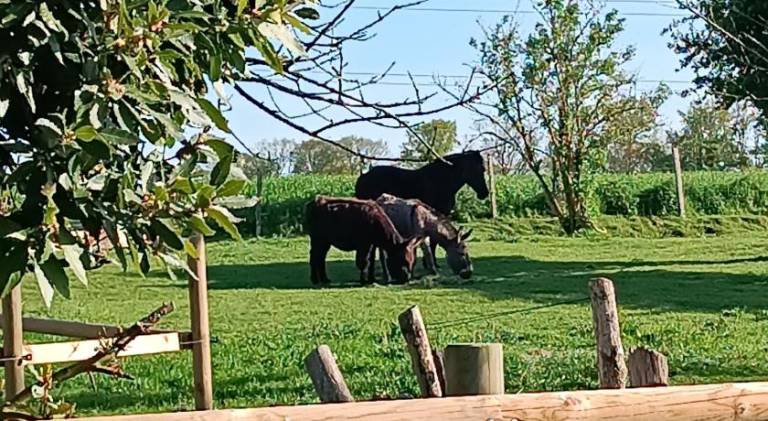 Domaine de karoli — photo 5