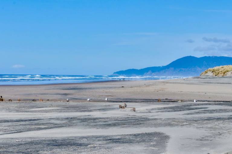 House Rockaway Beach