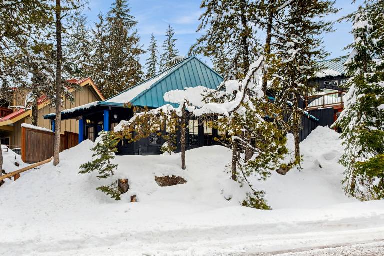 Cabin Government Camp