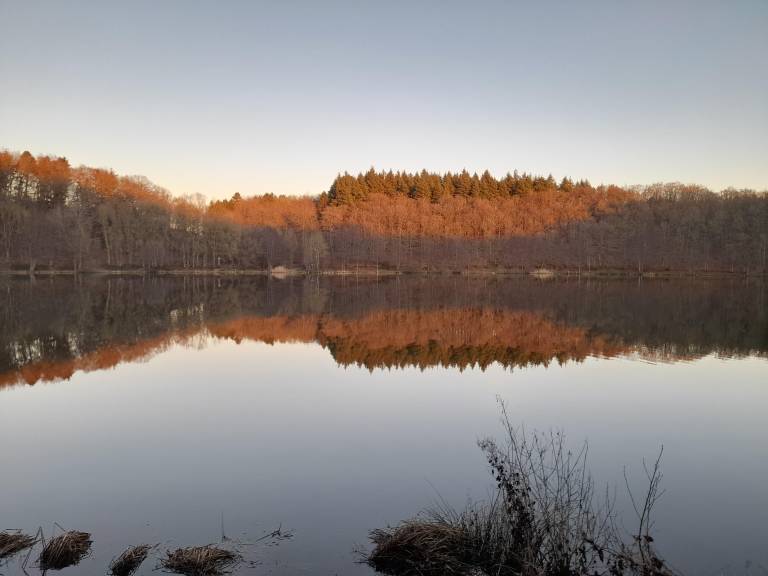 foto5