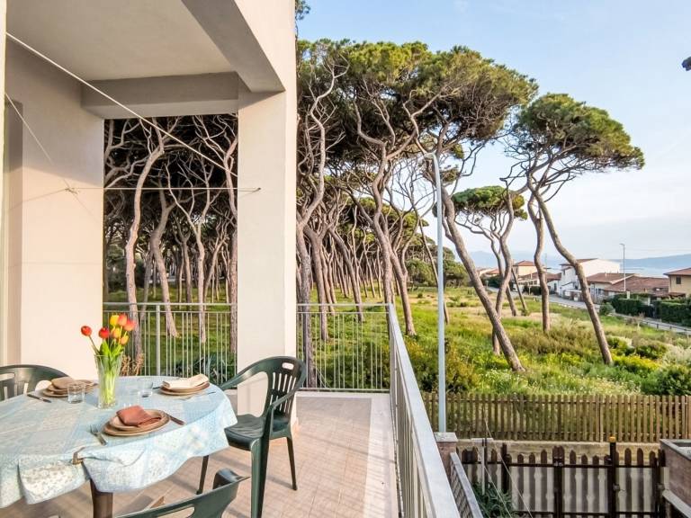 Holiday apartment with terrace | Sea view | Beach nearby | Pet-friendly — photo 4