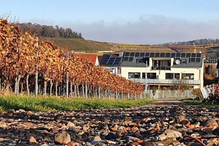 Ferienhaus Vogtsburg im Kaiserstuhl