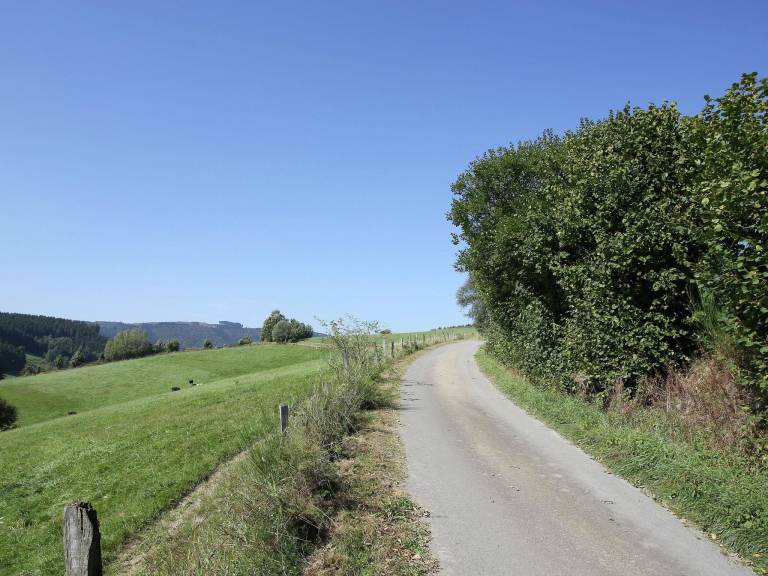 foto5