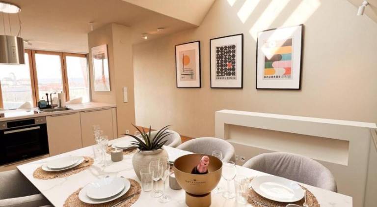 Penthouse Deluxe I Dachterrasse I Parkplatz in Plauen