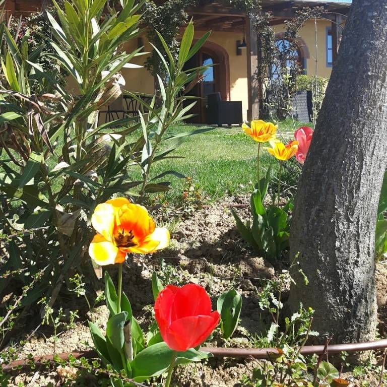 foto40