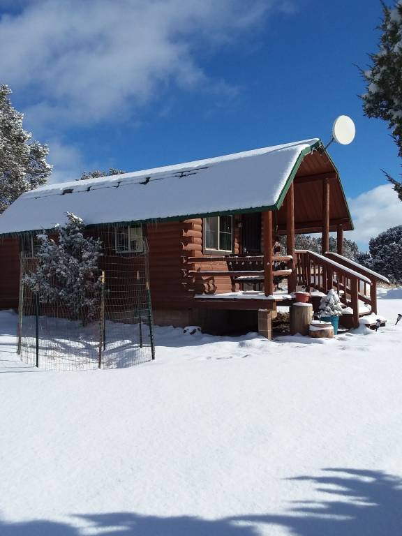 Cabin Williams