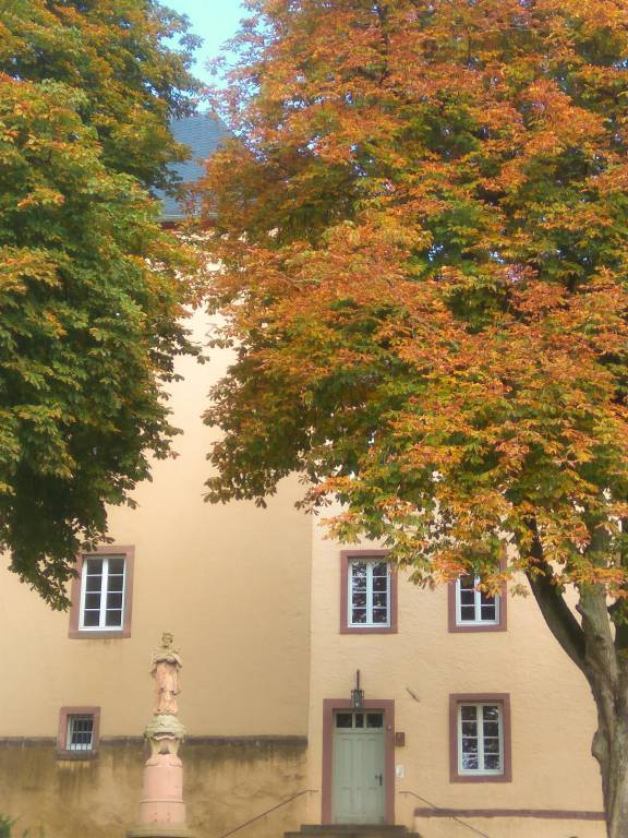 foto11