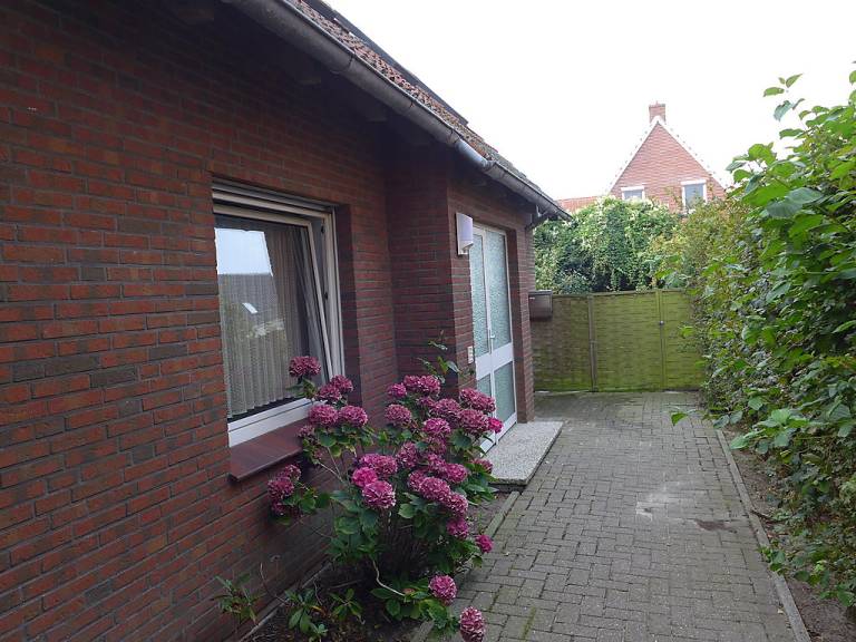 foto19