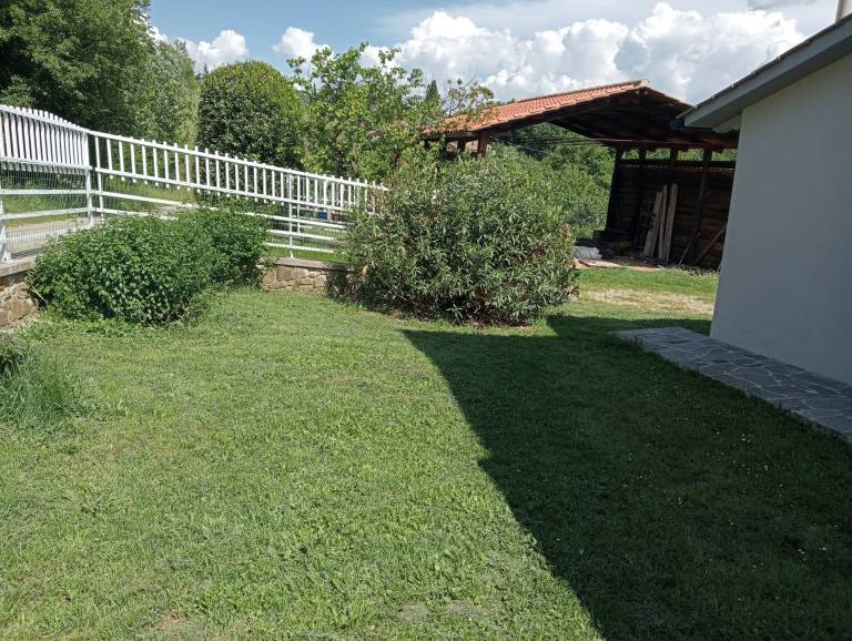 foto19