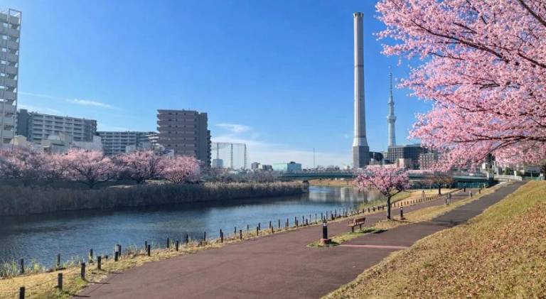 Sunny Inn Sumida — photo 4