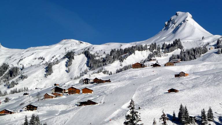 Ferienwohnung Bregenzerwald