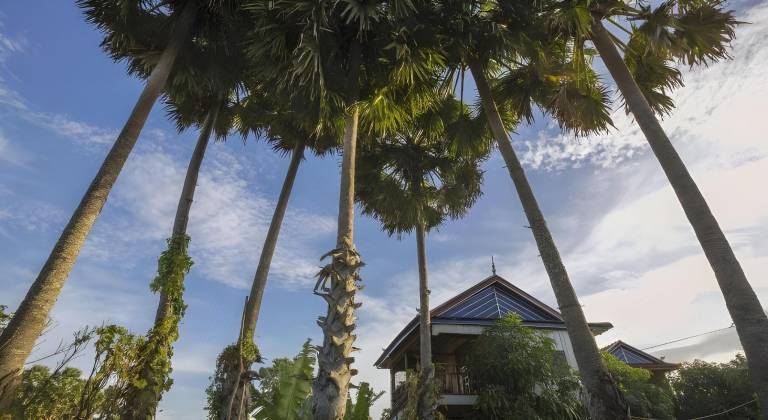 Champa Lodge — photo 5