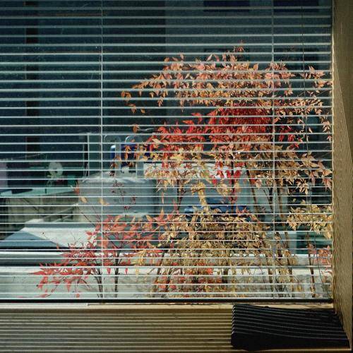 foto7