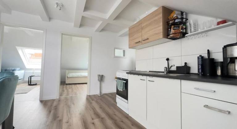 Beautiful rental apartment | Dogs allowed — photo 3