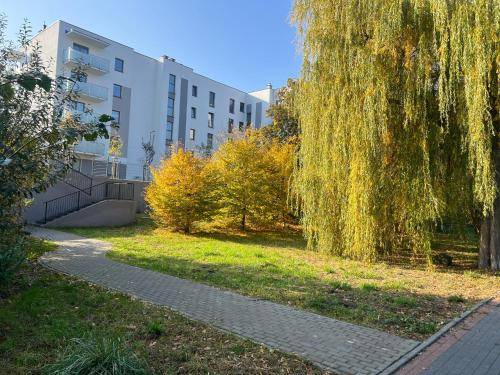 Apartament Iława