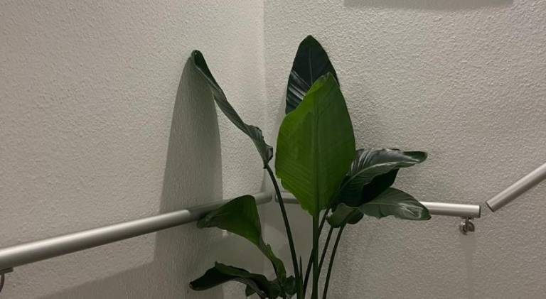 Wonderful holiday apartment | Pet-friendly — photo 5