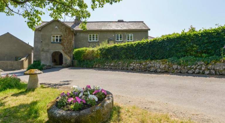 House | Pets allowed in Newton Abbot