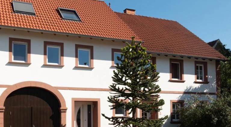 90 m&sup2; Ferienhaus