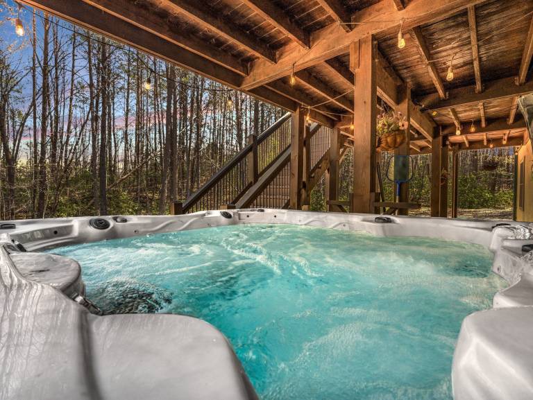 Cabin  Lake Lure