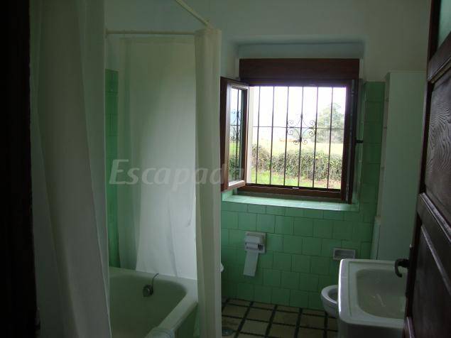 foto39