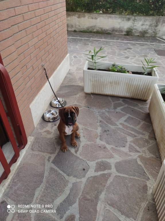 foto15