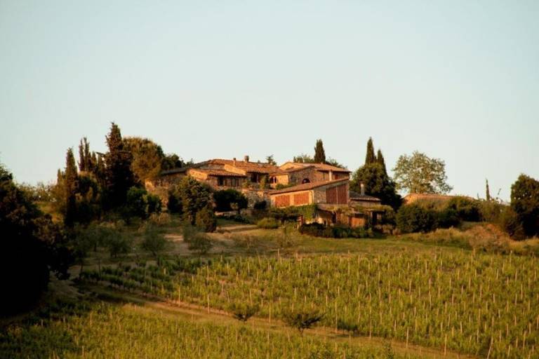 Privatzimmer Fonterutoli