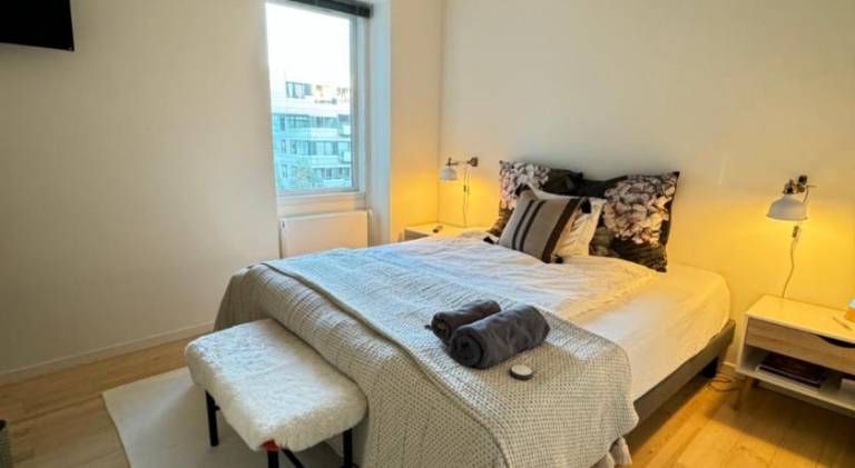 Cute Pug Guest Room — photo 2