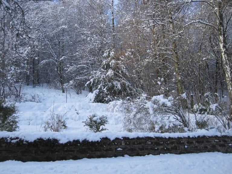 foto39