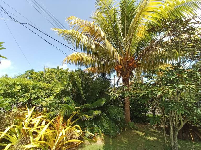 Appartement Nassau