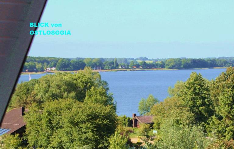 foto19