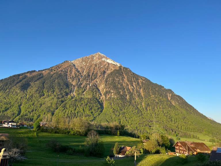 foto31